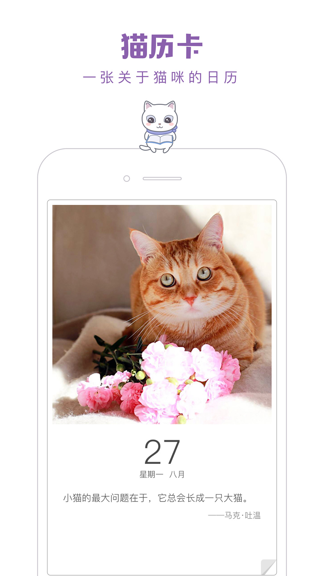 猫咪app最新,“猫咪应用最新版”