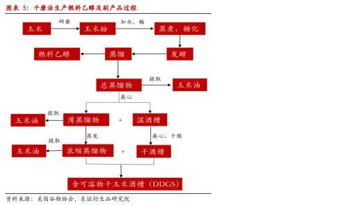 玉米胚芽粕最新价格-玉米胚芽粕行情速览