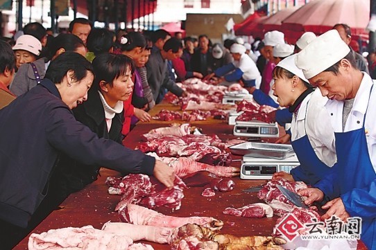 云南猪肉市场最新动态