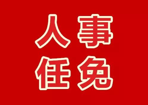 雷州市最新官方人事调整与任命一览