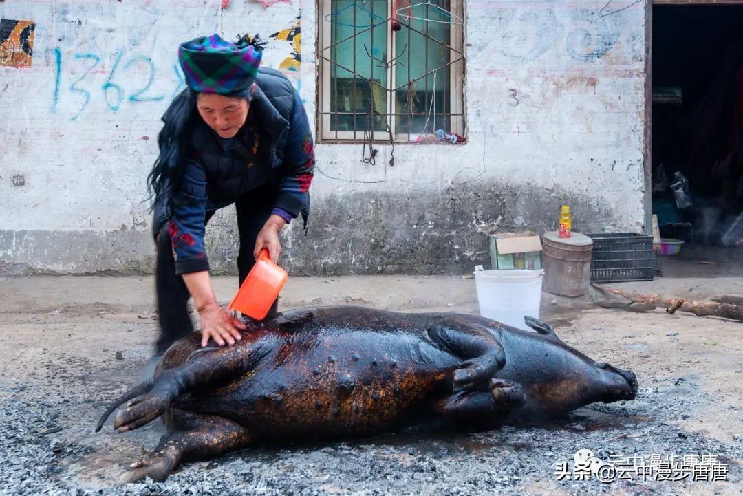 彝族风情新片盘点：光影流转中的民族故事