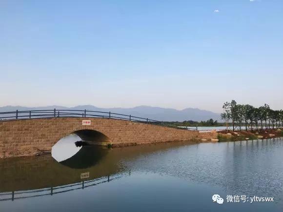 最新资讯：代桥湿地公园建设进展与亮点速览