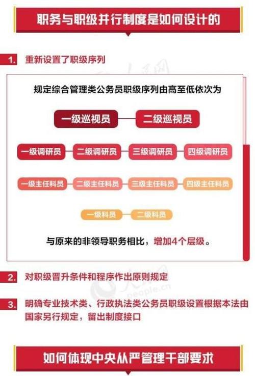 山东地区职务与职级并行制度最新解读与实施细则全面揭晓