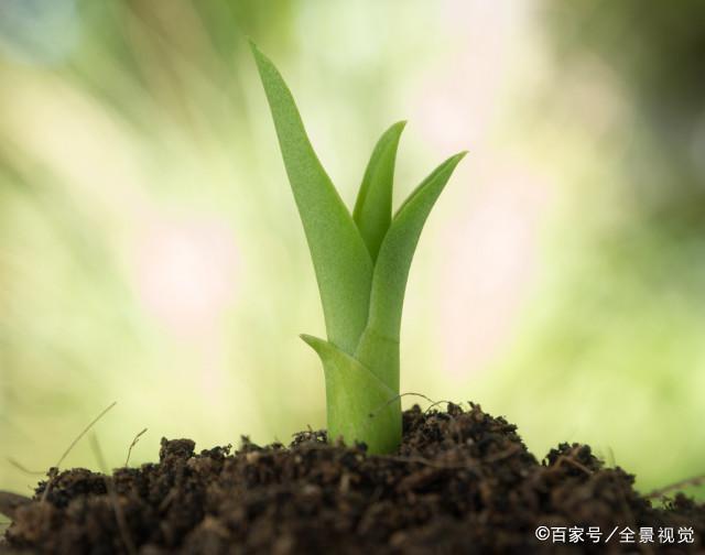 千古明月映古今